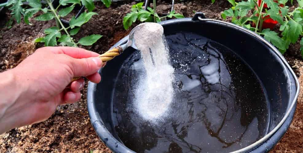 تصویر 1 از کود مرغی سطلی مناسب مصرف کنترل شده